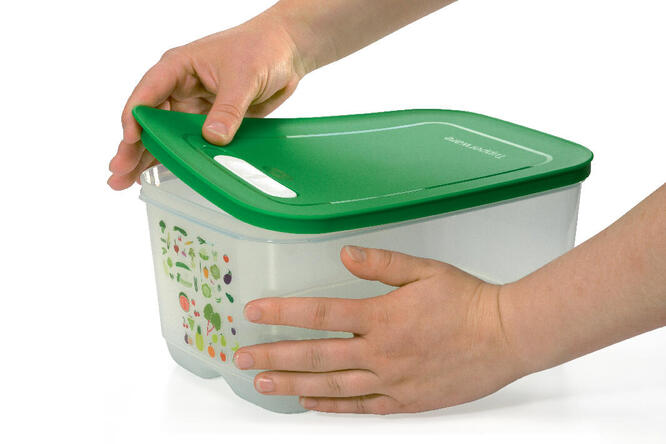 Tupperware Ventsmart 
